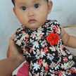 Windi