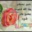 شمس الحياة