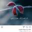 Gady Bouzaid