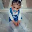 Lina linoucha 
