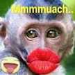 Hmm Seeh