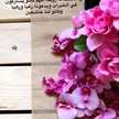 ام سلطان 