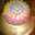 Hafsa Xaqib