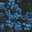 Cassandre_ lhr