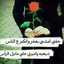 عراقية وافتخر