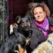 Sol M.P