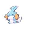 Paci