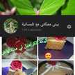 بيتي مملكتي مع تلمسانية