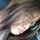 sutasinee sutasinee