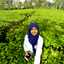 Winda Ayu
