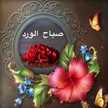 Rabab2015ا