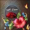 Rabab2015ا