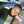 Ashley Jackie