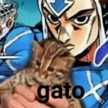 Gato