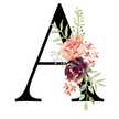 Alfi zee