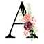 Alfi zee