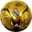 Alvaro Yepez Alvaro Yepez