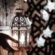 عطر الندى