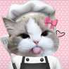 Chiacchia