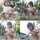 geona lizbeth geona lizbeth
