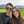 Yannis & Mayleen