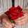 mariam mariam