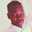Benard smoll