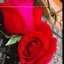 Sumitra saxena 