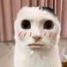 Phươngg