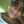 Kathy Mariel Encarnacion Beltre