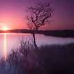 Chandni Raat