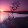 Chandni Raat Chandni Raat