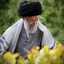 •Sediqeh~sadeqi°