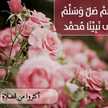ام شموخ