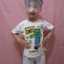 Dewi Harum Sari