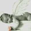NINI YOHANA COLLO AVILES