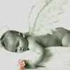 NINI YOHANA COLLO AVILES