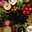 My cooking ideas Vlogs and my ideas