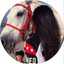 Asil♡>>