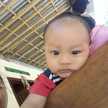elang