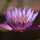 Samruddhi Shivgan Shelar Samruddhi Shivgan Shelar