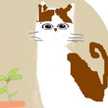 Choakdee Cat
