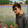Peace Surart