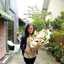 Anis 