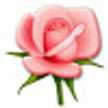 Kawther Abdelwahab