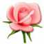 Kawther Abdelwahab