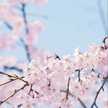 مطبخ بيتو🌸,