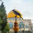 Memokh