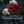 wiam maroco
