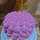 Anji's Kitchen 